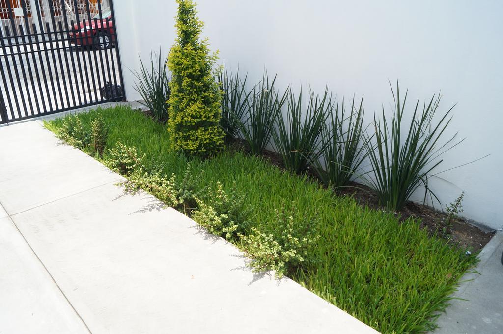 Mv Suites Monterrey Dış mekan fotoğraf