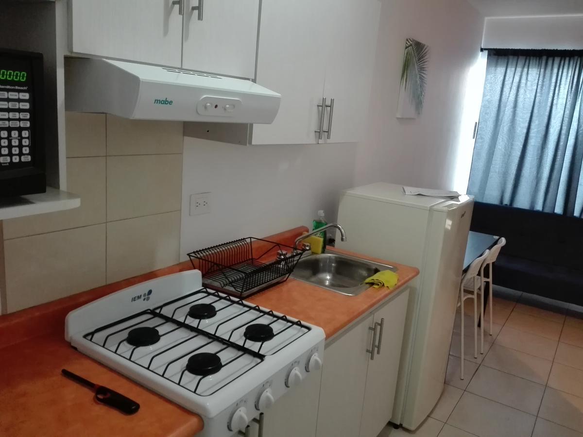 Mv Suites Monterrey Dış mekan fotoğraf
